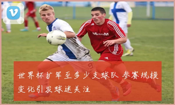 世界杯扩军至多少支球队 参赛规模变化引发球迷关注