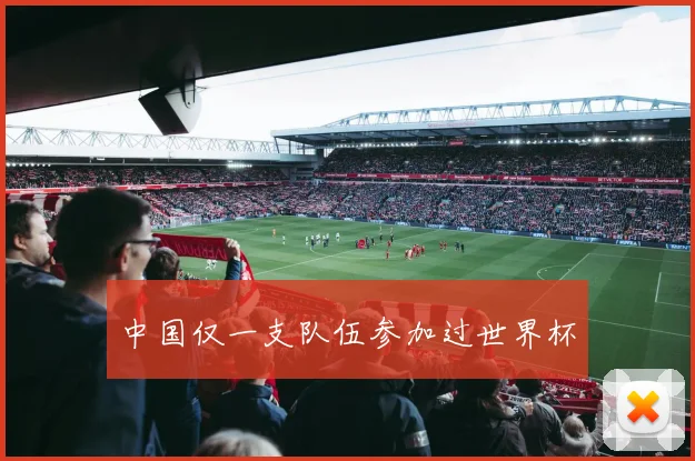 中国仅一支队伍参加过世界杯